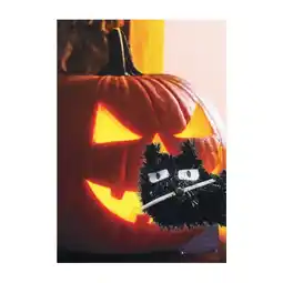 Woolworths Halloween Tabletop Light Up Pumpkin offer