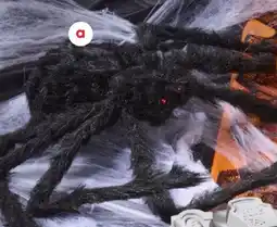Coles Spider Web With Fluffy Spider offer