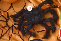 Coles Spider web lights with spider offer