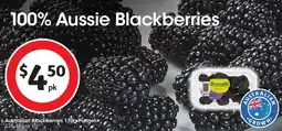 Coles Australian blackberries punnet offer