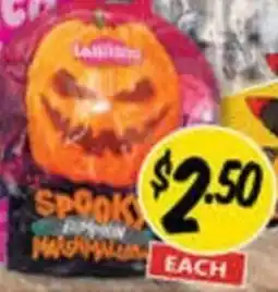NQR Lolland Spooky Marsh offer