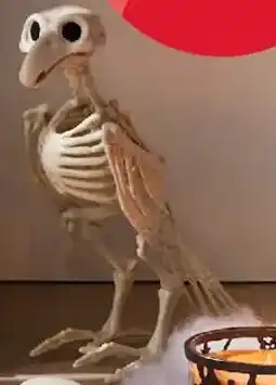 Kmart Bird Skeleton offer