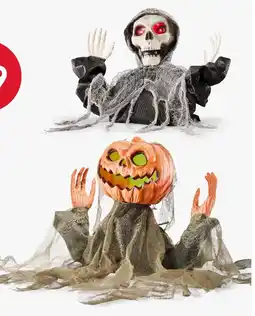 Kmart Animated Torso - Assorted offer