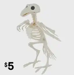 Kmart Bird Skeleton offer