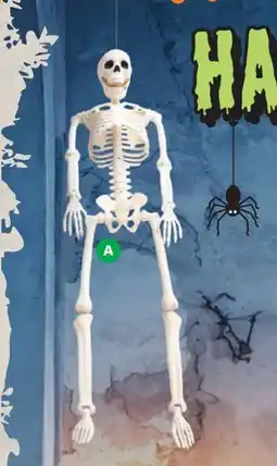 Woolworths Halloween large hanging skeleton offer