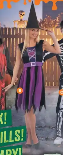 Woolworths Halloween costume adult purple witch offer
