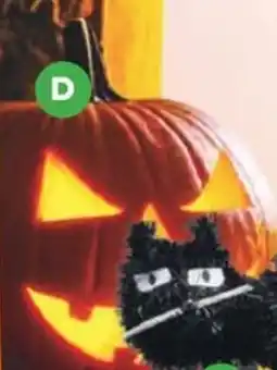 Woolworths Halloween tabletop light up pumpkin offer