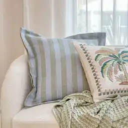 Pillow Talk Frankie Two Tone Stripe Feather Square Cushion by M.U.S.E offer