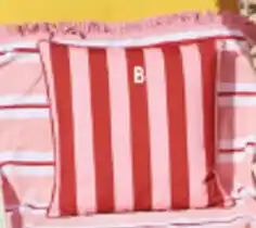 Pillow Talk Maris Pink Stripe Reversible outdoor cushion offer