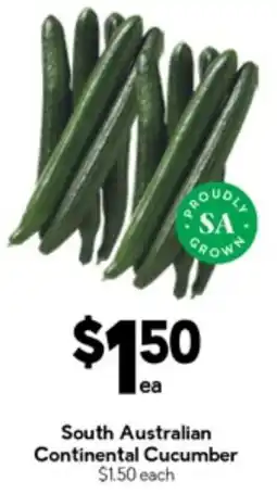Drakes South australian continental cucumber offer
