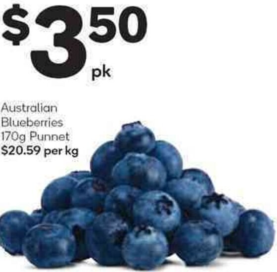 Australian Blueberries 170g offer at Woolworths