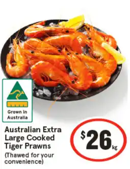 IGA Australian Extra Large Cooked Tiger Prawns (Thawed for your I convenience) offer