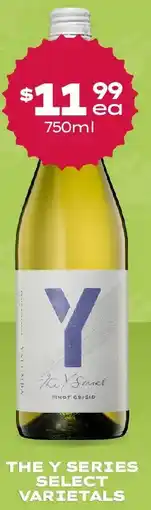 Thirsty Camel The Y series offer