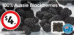 Coles Australian blackberries punnet offer