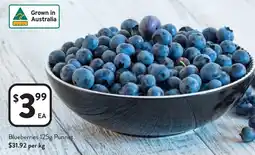 Foodworks Blueberries Punnet offer