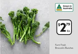 Foodworks Farm Fresh Broccolini Bunches offer