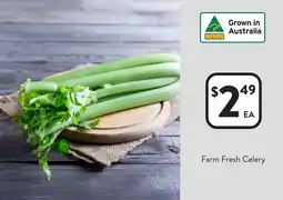 Foodworks Farm Fresh Celery offer