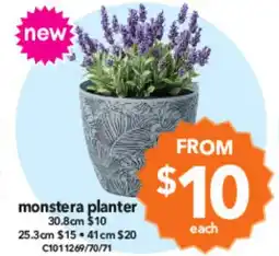 Cheap as Chips monstera planter offer
