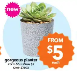 Cheap as Chips gorgeous planter offer