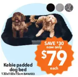 Cheap as Chips Kelsie padded dog bed offer