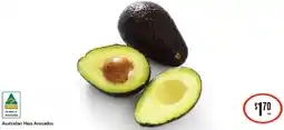 IGA Australian hass avocados offer