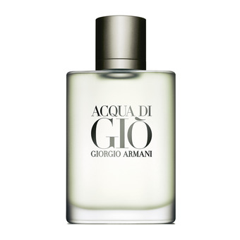 My Beauty Spot Giorgio armani acqua di gio 100ml edt offer