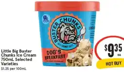 IGA Little Big Buster Chunks Ice Cream offer