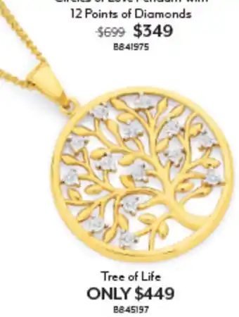 Angus & Coote Tree of Life offer