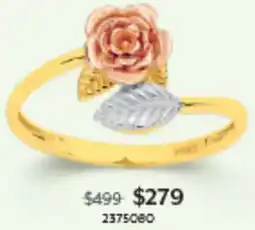 Angus & Coote Ring offer