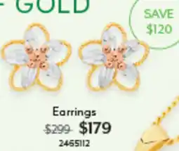 Angus & Coote Earrings offer