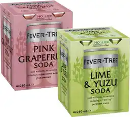 Coles Fever Tree Premium Soda 4x250mL offer