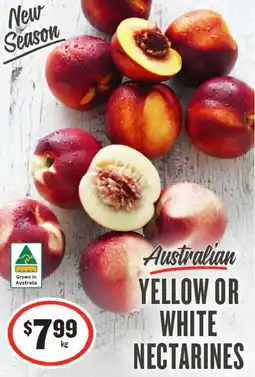 IGA Australian yellow or white nectarines offer