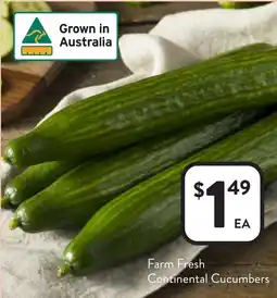 Foodworks Farm Fresh Continental Cucumbers offer