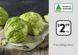Foodworks Crisp Iceberg Lettuce offer