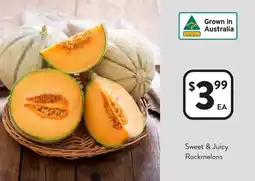 Foodworks Sweet & Juicy Rockmelons offer