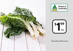 Foodworks Silverbeet Bunches offer