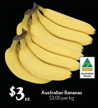 Australian Bananas