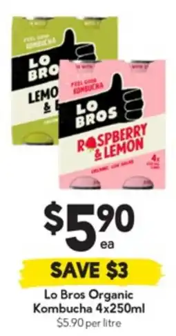 Drakes Lo Bros Organic Kombucha offer