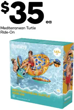 Woolworths Mediterranean Turtle Ride-On offer