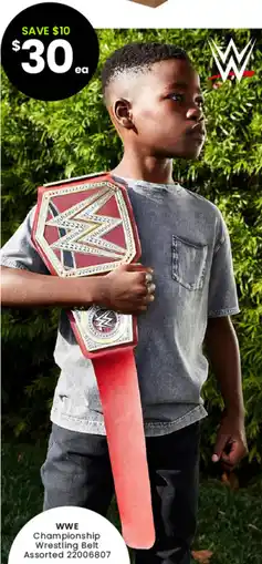 Toymate WWE Championship Wrestling Belt Assorted offer