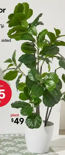 Kmart Tall Artificial Fiddle Leaf Fig offer