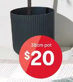 Kmart Linear Plastic Pot - Black offer