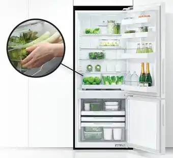 Spartan Electrical Fisher & paykel 413l bottom mount refrigerator offer