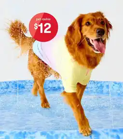 Kmart Pet Sprinkler Mat offer