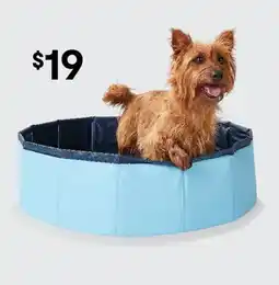 Kmart Pet Bath Poratable offer