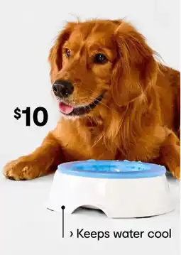 Kmart Pet Cooling Bowl offer