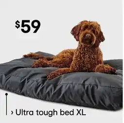 Kmart Pet bed rectangle ultra tough offer