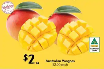 Australian Mangoes