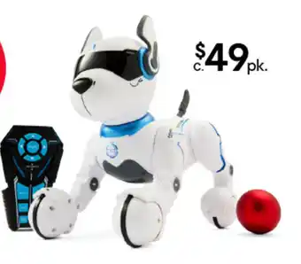 Ziggy Robo Dog