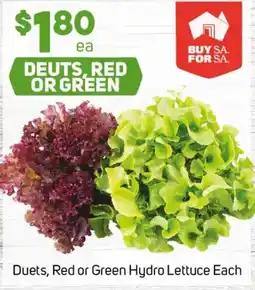 Foodland Duets, Red or Green Hydro Lettuce Each offer